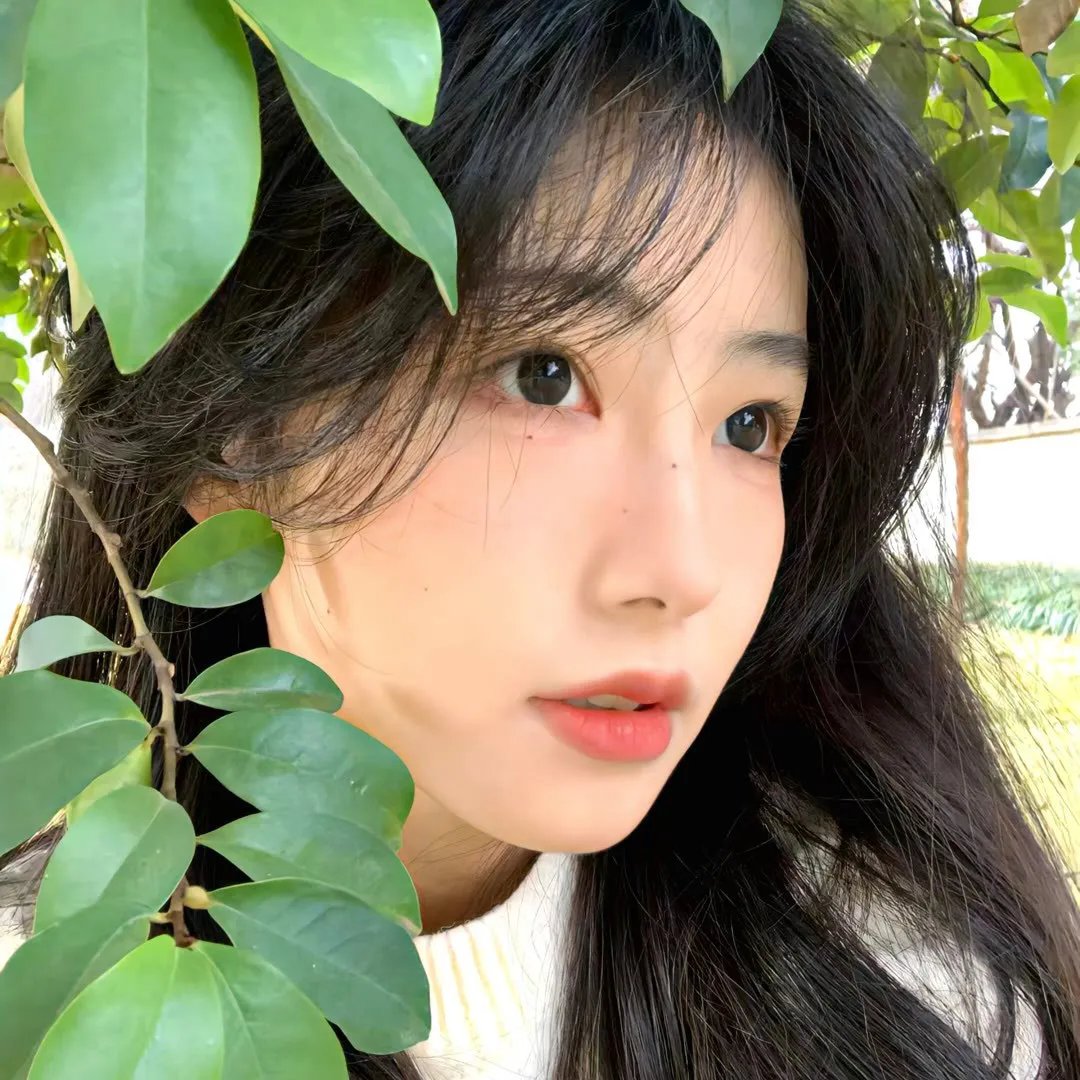 朱莉娅第二季